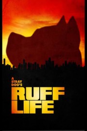 A Stray Dog's RUFF LIFE