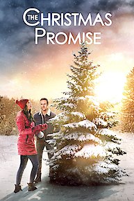 The Christmas Promise