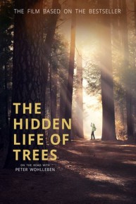 The Hidden Life of Trees