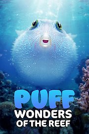 Puff: Wonders of the Reef