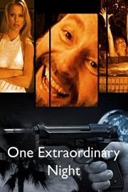 One Extraordinary Night