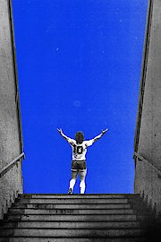 Diego, The Last Goodbye