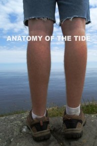 Anatomy of the Tide