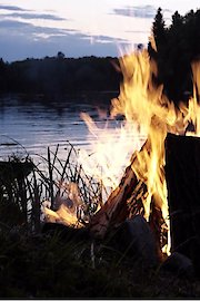 Nocturnal Campfire