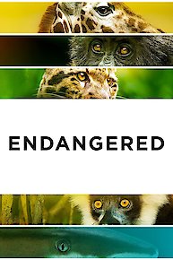 Endangered