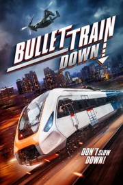 Bullet Train Down