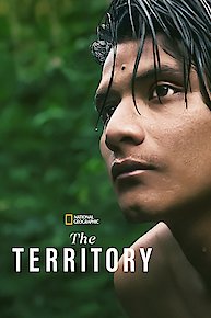 The Territory