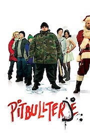 Pitbullterje
