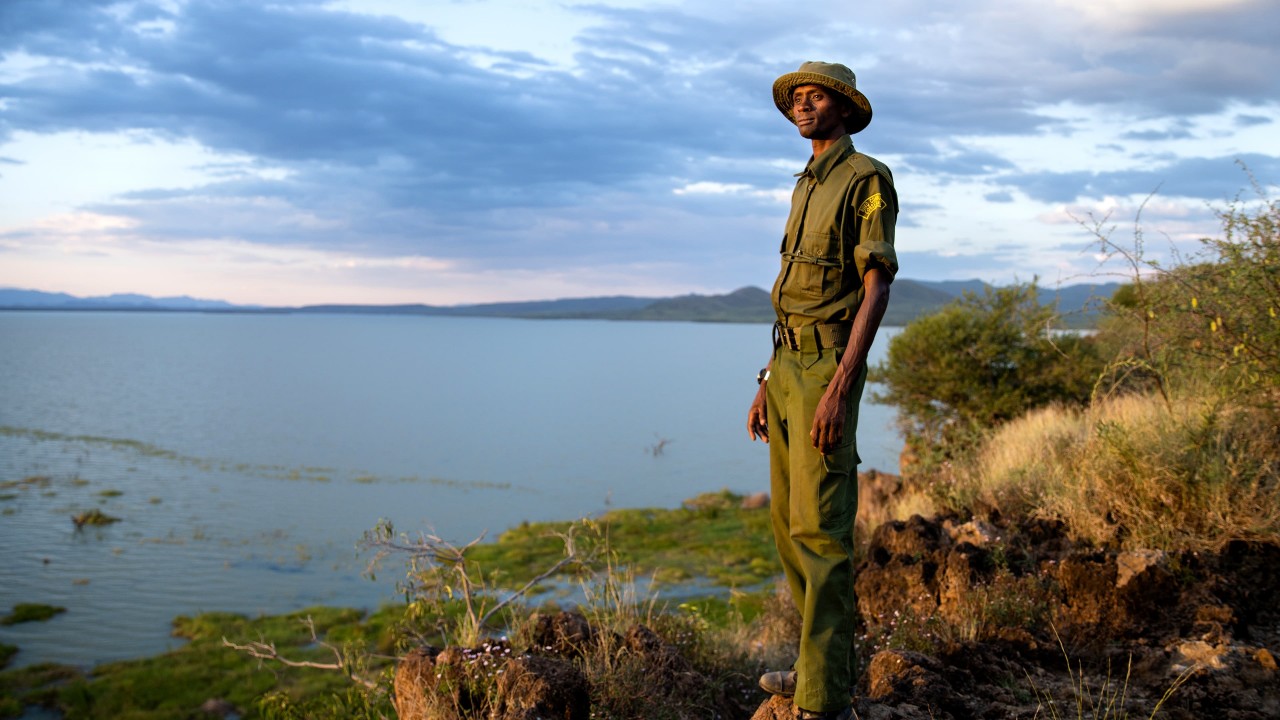 Saving Giraffes: The Long Journey Home