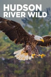 Hudson River Wild