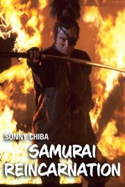 Samurai Reincarnation