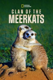 Clan of the Meerkats