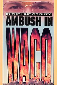 In the Line of Duty: Ambush in Wako