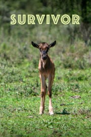 Survivor