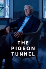 The Pigeon Tunnel