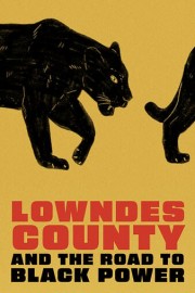 Lowndes County and the Road to Black Power