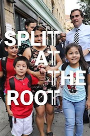 Split at the Root