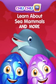 Learn About Sea Mammals and More - ChuChu TV