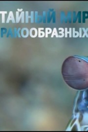 Secret World Of Crustaceans