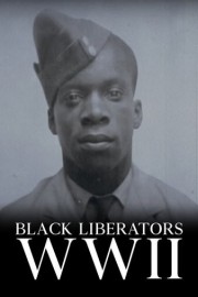 Black Liberators WWII