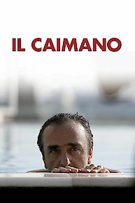 Il caimano