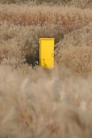 Yellow Door: '90s Lo-fi Film Club