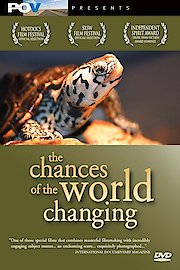 The Chances of the World Changing