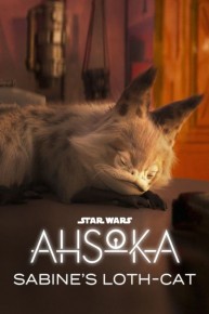 Ahsoka: Sabine's Loth-Cat