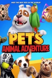 Pets Animal Adventure