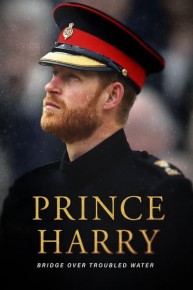 Prince Harry: Bridge Over Troubled Water