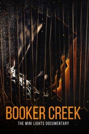 Booker Creek: The Mini Lights Documentary