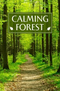 Calming Forest