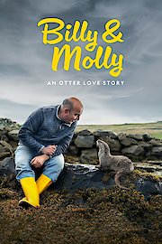 Billy & Molly: An Otter Love Story