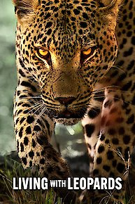 Living with Leopards