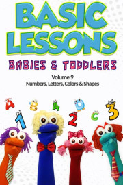 Basic Lessons Babies and Toddlers Vol 9: Numbers, Letters, Colors & Shapes