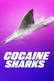 Cocaine Sharks