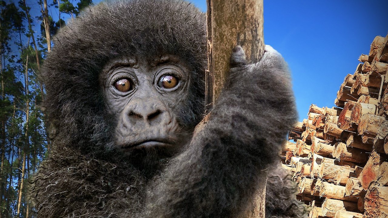 Escape from Extinction Rewilding