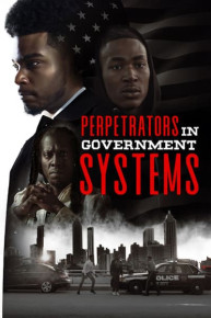 Perpetrators in Government Systems