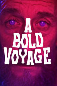 A Bold Voyage