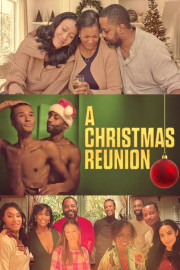 A Christmas Reunion