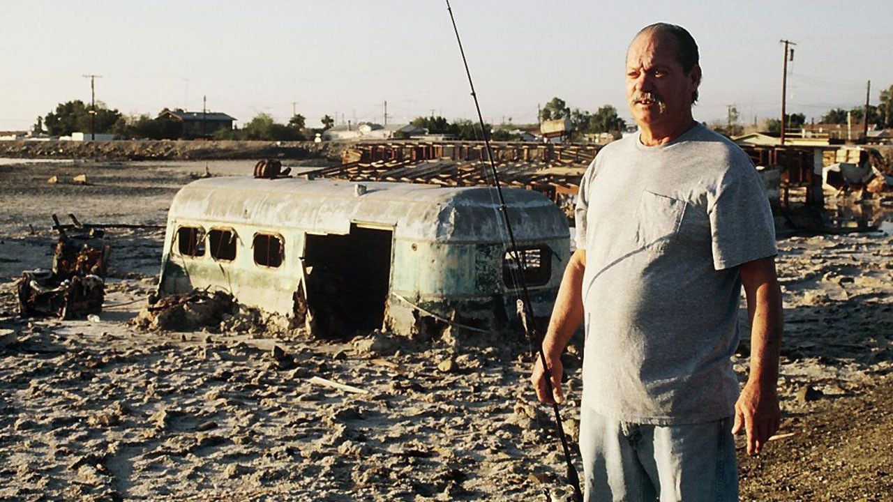 Plagues & Pleasures on the Salton Sea