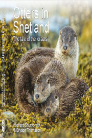 Shetland's Otteres: The Tale of a Draatsi Family