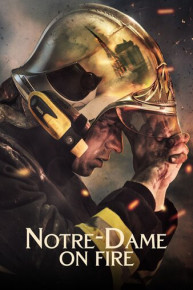 Notre-Dame on Fire