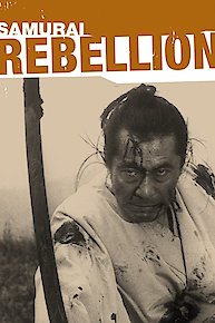 Samurai Rebellion