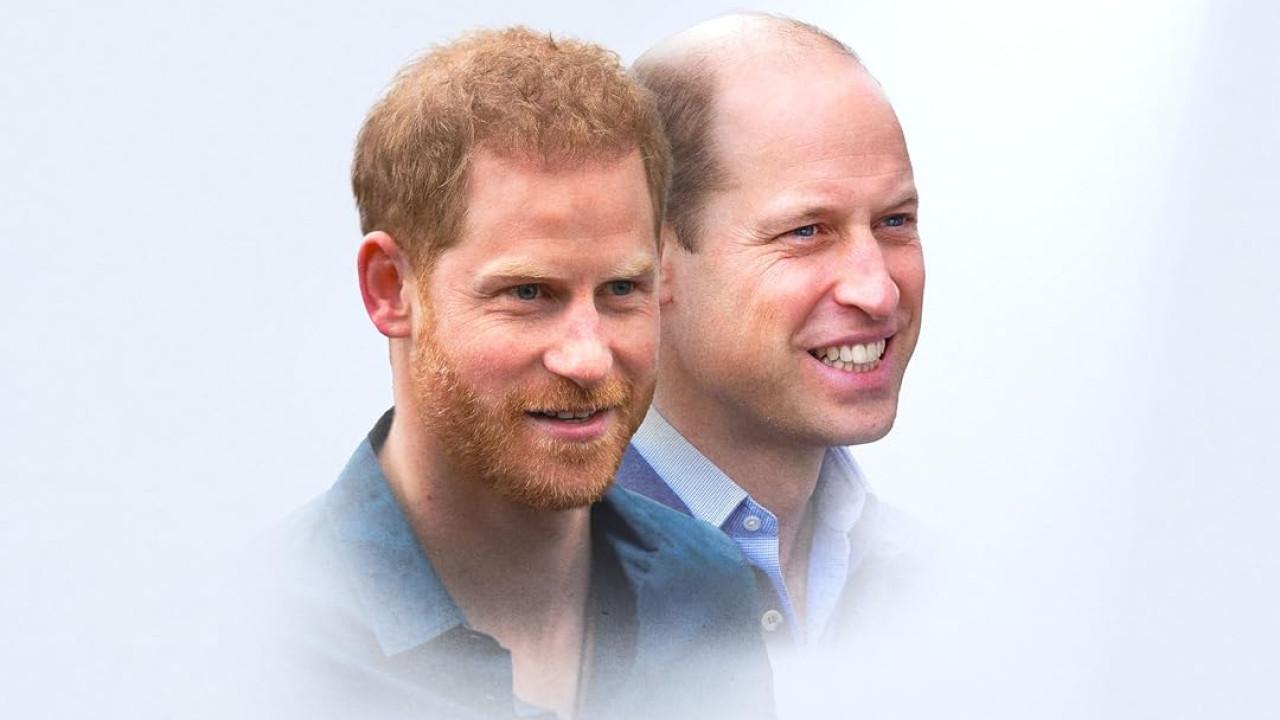 William and Harry in the Public Eye