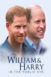 William and Harry in the Public Eye