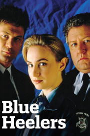 Blue Heelers Live