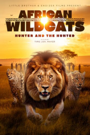 African Wildcats
