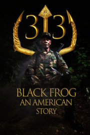 33 Black Frog: An American Story