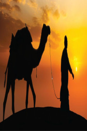 A Tree Without Roots